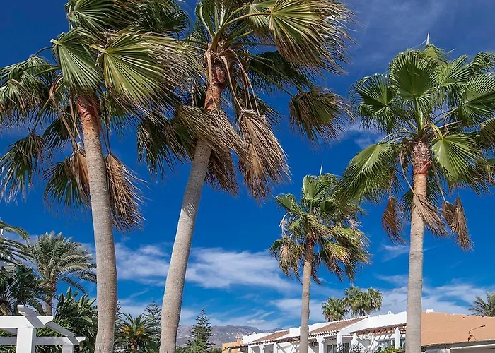 Paradise 4 Apartamento *